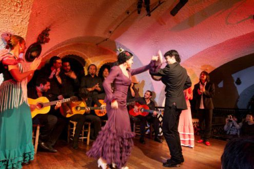 Flamenco_97