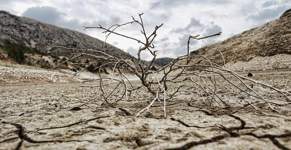 Провинция Аликанте подверглась колоссальной засухе