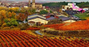 Испания: жемчужина винного туризма