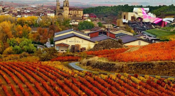 Испания: жемчужина винного туризма