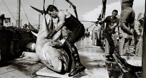 В Валенсии открылась выставка, посвященная ловле тунца