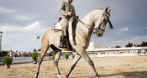 Чемпионат Doma Vaquera назовет лучших ковбоев