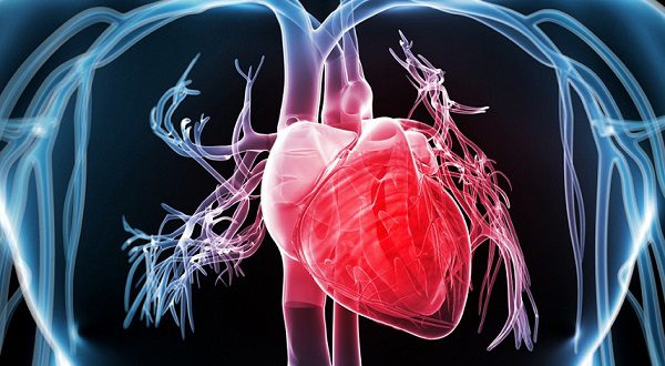 Испанские ученые создали уникальный жилет для лечения аритмии сердца