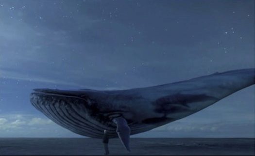 «Синий кит» появился в Испании