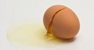 В Страна басков нашли опасные для здоровья яйца