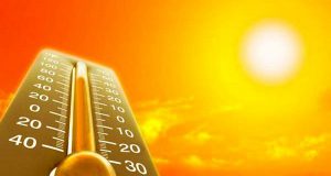 Число волн жары стало рекордным ушедшим летом