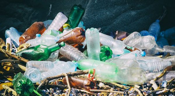 Пластик – враг живой природы и океана!