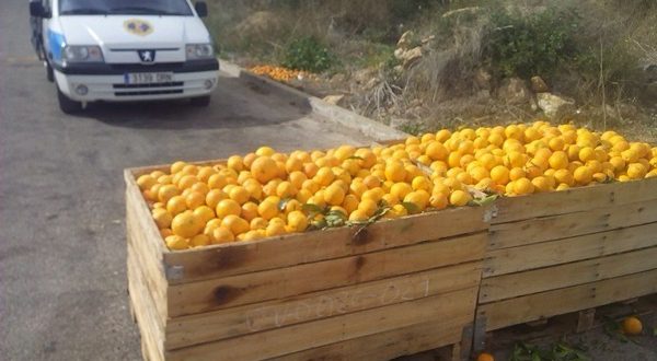 Полиция задержала «апельсиновых» воров