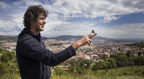 Жители Барселоны и Мадрида встали на защиту бабочек