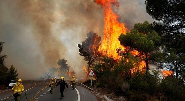 В Испании начались лесные пожары